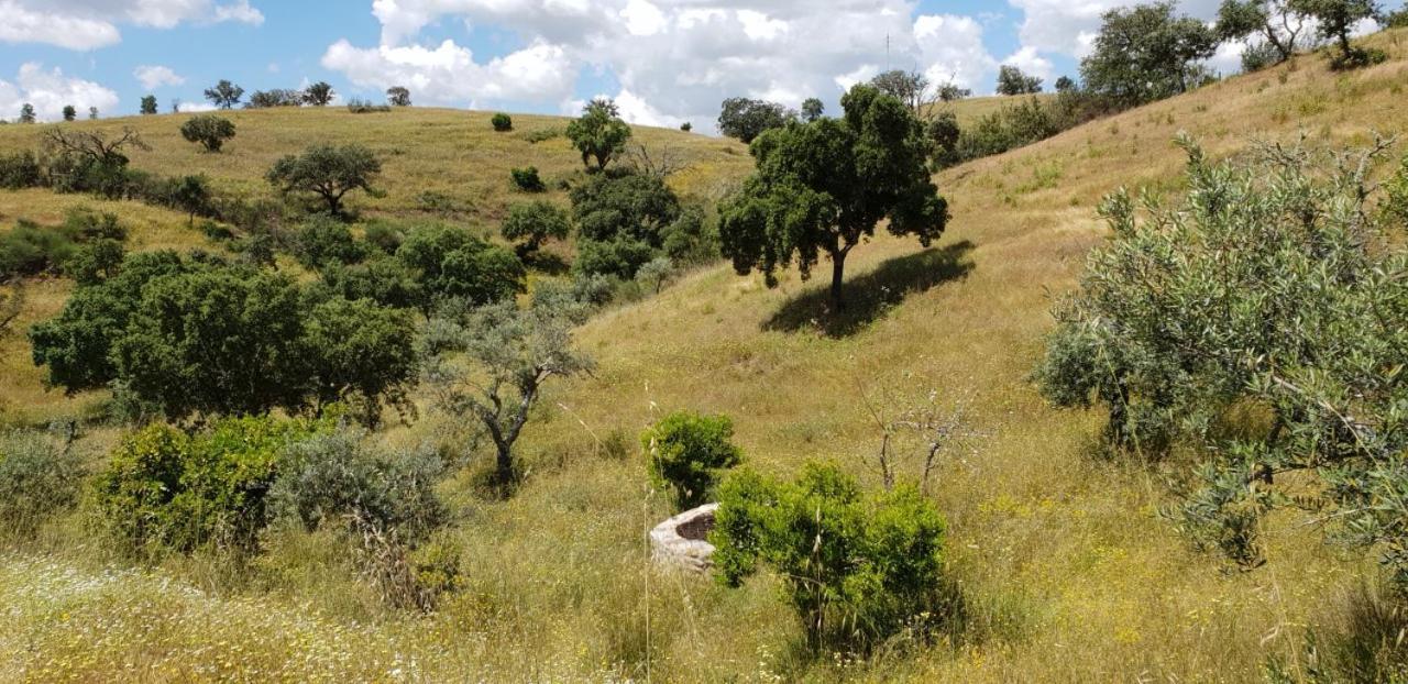 Monte Anna Panzió Vila Verde de Ficalho Kültér fotó
